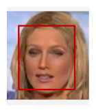 Entire face synthesis example cropped from Figure 3(a)