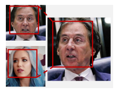 Face reenactment example cropped from Figure 3(a)